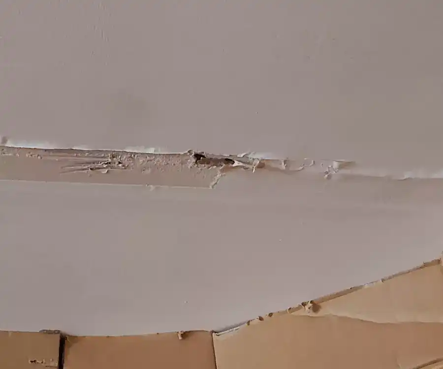 fuite plafond infiltration eau toiture